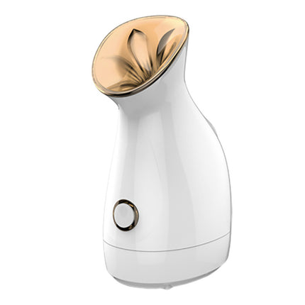 Nano ion water supply instrument
