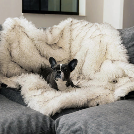 Dog warm mat