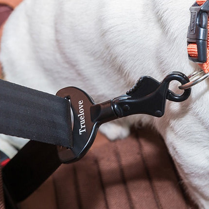 Dog seat belt
