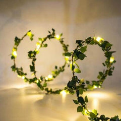 Collection image for: String Lights