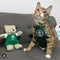 Pet Dresses