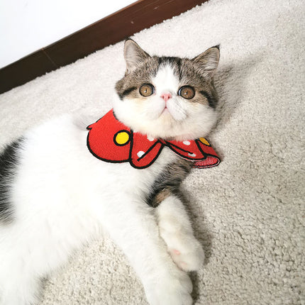 Pet collar