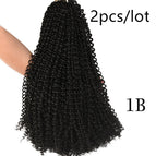Black2pcs