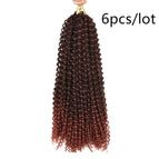 C 6pcs