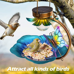 Collection image for: Bird Feeders