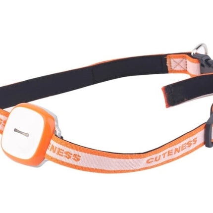 Locator pet