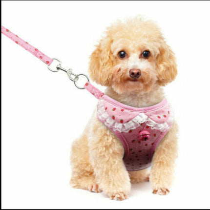 Dog leash