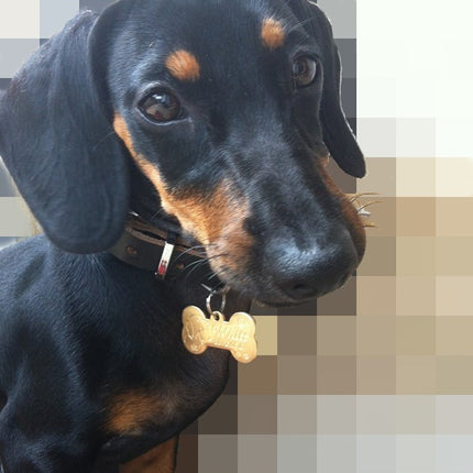 Custom made brass pet Pendant