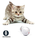 PetGlow | Led Cat Toy Ball | 360 Degree Auto Rolling Ball | Stimulates Hunt | Red and Color Modes | Usb Rechargeable - Animals & Pet Supplies > Pet Supplies > Cat Supplies > Cat Toys > Interactive Toys