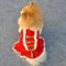 Pet Dresses