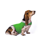 Fluorescent green