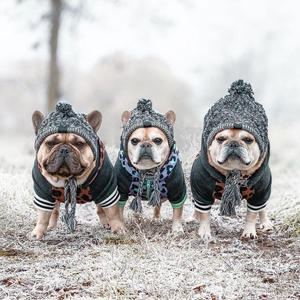 Winter Fashion Dog Hat Windproof Fluffy Knitted Polar Pom Hat