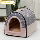 Pink Cat