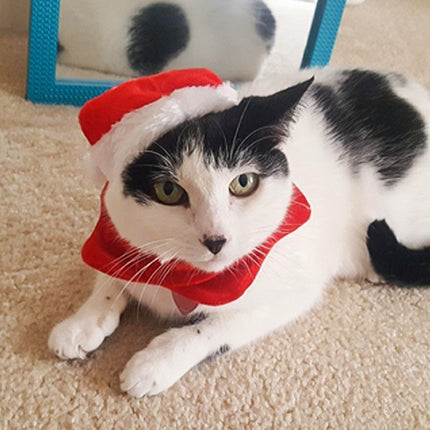 Pet supplies Christmas hat scarf set cat and dog small pet