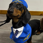 Blue Pilot