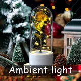 Creative | 2 In 1 Rose Led Bluetooth Light And Speaker | Rose Led Night Light | Glass Cover | Red | Romantic Gift -