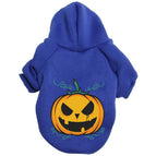 Pumpkin Blue