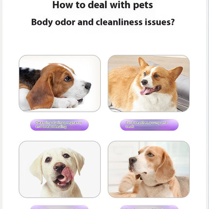 Dry Cleaning Disinfecting Paper Deodorant Pet Supplies Pet Disposable Gloves