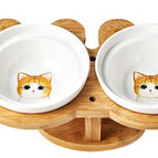 Ginger cat