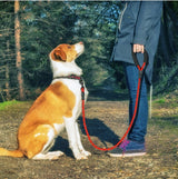 Reflective Dog Leash for Small Medium Large Dogs | Heavy-Duty Nylon Rope Lead with Soft Foam Handle | Anti-Slip Reflective Design | Zinc Alloy Hook | 1.5M Training & Walking Leash - Animals & Pet Supplies > Pet Supplies > Pet Leashes > Standard Leashes