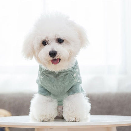 Dog clothes