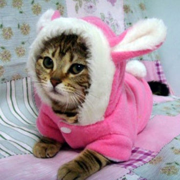 Pet Cat Clothes Mascotas Costume Clothes For Pet Hoodies Cute Rabbit Cat Clothing Puppy Fleece Warm Pet Cat Jacket
