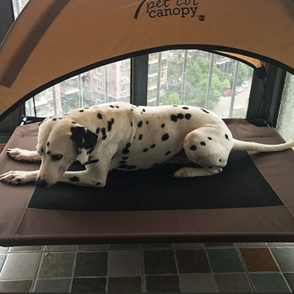 Pet bed dog moisture-proof removable washable stack dog bed Oxford cloth camp bed