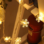 Warm White
