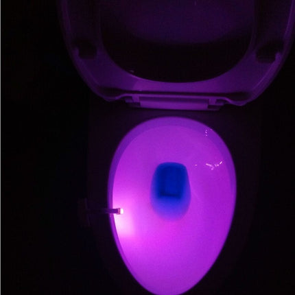 Toilet Induction LED Night Light