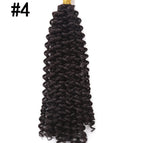 1BBlack