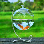 Glass ball23 white bracket