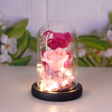 EternalRose | Preserved Rose Gift Box | Led Glass Display | Keeps Forever Valentine Gift | Pink | Home Decor Keepsake -