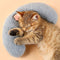 Pet Blankets & Quilts