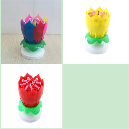 Amazing Lotus Candles