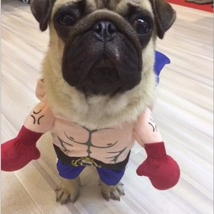 Boxer Cat Costume