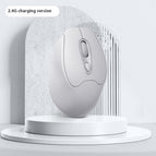 Rechargeable Gray