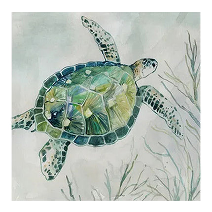 Turtle Canvas Painting Wall Art Poster