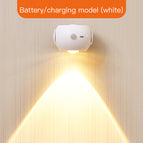 White USB charging and AAA bat