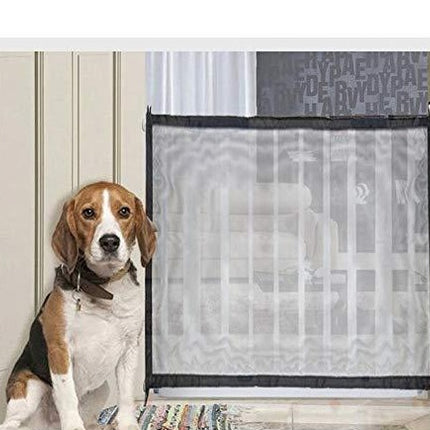 The dog obstacles security fence