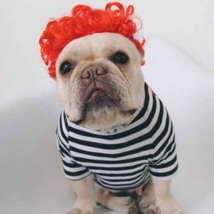 Creative Pet Simple Funny Wig Headgear