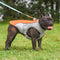 Pet Coats & Jackets
